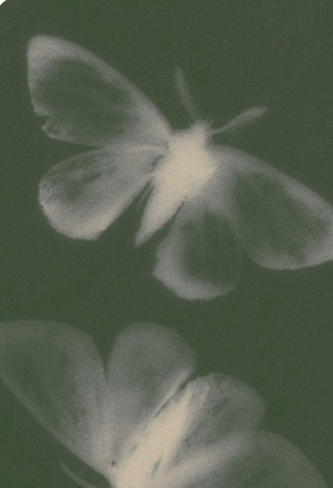 wall image